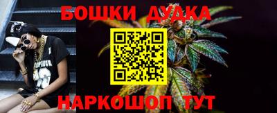 индика Долгопрудный