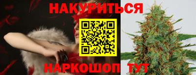 индика Долгопрудный