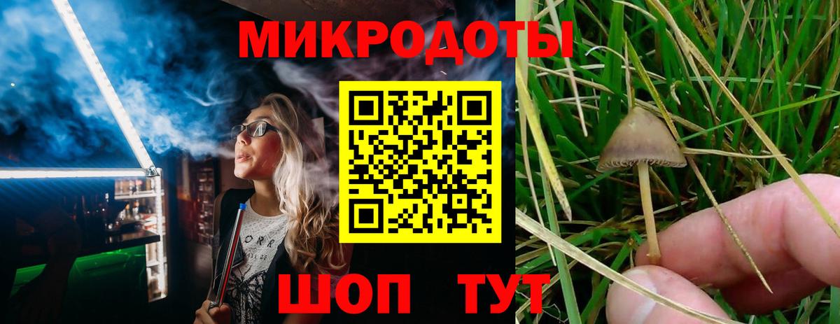Псилоцибиновые грибы прущие грибы  Вход с VPN  Белогорск 